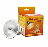 Lucky Reptile Halogen Sun, Wattstärke:100 Watt