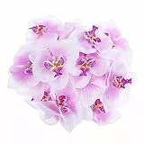 VORCOOL Künstliche Blumen Schmetterling Orchidee, 20 Stück, 9 cm, Seidenblumen, für Hochzeit, Party, Zuhause, Dekoration