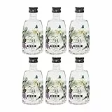 Roner Z44 Gin Italien inkl. FeinWert E-Book (6 x 0.05 l)