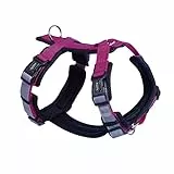 Nobby Geschirr Daily Walk Comfort, Himbeere, S-M: Brust: 32-36 cm, Bauch: 48-65 cm, 1 Stück