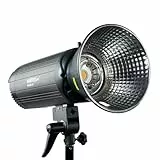 Walimex pro Campaigner 600 HS Studioblitz mit integriertem 2,4 GHz Empfänger, Blitzgerät 600 Ws mit Reflektor, Fotoblitz mit schneller Abbrennzeit, LED-Einstelllicht und Bedienpanel