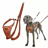 HALTI No Pull Anti-Zug Geschirr - Verhindert, dass Ihr Hund an der Leine zieht, Gepolsterter Brust- und Beingurt, Reflektierendes Gurtmaterial, Einfache Anpassung und Benutzung (Größe L, Dunkelorange)