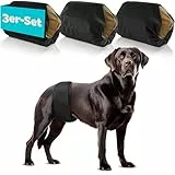 HUND IST KÖNIG Hundewindeln für Rüden [3 STK] Saugstarke Hundewindeln Rüde | Bequeme Hunde Windeln bei Inkontinenz Hund - Umweltfreundliche Rüdenwindel waschbar | Hundewindel leicht zu reinigen