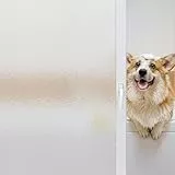 Linarun Fensterfolie Blickdicht Milchglasfolie Selbsthaftend Sichtschutzfolie Fenster mit Anti-UV Statische Haftung Privatsphäre Sonnenschutzfolie für Zuhause Büro