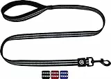 DDOXX Reflektierende Nylon Hundeleine - 120 cm, Training Führleine Hund mit gepolsterter Handschlaufe für alle Hundegrößen - L (Schwarz)