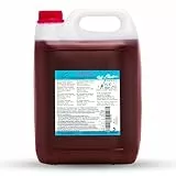 ICE Bär Slush Sirup – 5 L Konzentrat Himbeere/glycerinfrei/für ca. 30 L fertiges Slush-Ice – Original Slushy Getränkesirup ohne AZO-Farbstoffe