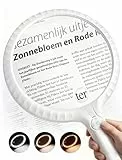 ARTDOT Leselupe mit Licht für Senioren Groß, Wiederaufladbare Lupe mit Licht, Handlupe für Lesen Juwelier Modellbau Bastel, Opa Oma Senioren Geschenk