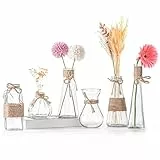 Winter Shore Kleine Vasen für Tischdeko [6er-Pack] - Blumenvase Vintage Verschiedene Formen - Tischvasen Klein mit Rutschfestem Boden & Braunem Seil - Rustikale Vasen Klein Tischdeko & Hochzeitsdeko