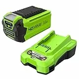Greenworks 40V Akku & Universal Ladegerät Kit - Original Greenworks leistungsstarker 2Ah Lithium-Ionen Akku + 2A Ladegerät, kompatibel mit allen Greenworks 40V Garten- und Elektrowerkzeugen - GSK40B2
