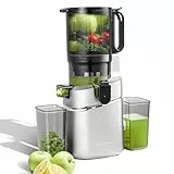 AMZCHEF Entsafter Slow Juicer - Entsafter Gemüse und Obst Testsieger für ganze Früchte, XXL 138mm Öffnung, BPA-frei mit Rezeptbuch - 2L Behälter, Dreifachfilter,Silber