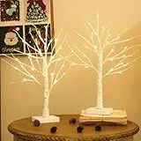 DELICHTER 2er Set Lichterbaum mit 24 Warmweißen LEDs Birken Bäumchen mit Timer-Funktion Dekozweige Batteriebetrieb Weihnachtsdeko für Zuhause Party Weihnachten Ostern Hochzeit 55cm