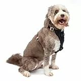 Kurgo TRU-Fit Leine, Halsband Hund, No Pull Hundegeschirr, Frontclipfunktion für Training & Hundegurt fürs Auto, Hunde Zubehör. Schwarz, Größe: L (groß)