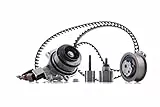 INA 530 0650 30 Wasserpumpe + Zahnriemensatz 29 mm Kompatibel mit VW Golf VII Schrägheck 5G1, BQ1, BE1, BE2 Passat Variant 3G5, CB5 TIGUAN 5N Golf VII Variant BA5, BV5 T-Roc A11 SHARAN 7N1, 7N2