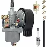 ZAMDOE Vergaser-Kits für Fahrradmotoren für 80cc 66cc 60cc 50cc 49cc Zweitaktmotoren, Fahrradmotoren, für Eton Rascal 40 & Viper Jr 40 IXL40 RXL40 RXL40E mit Zündkerzen-Kraftstofffilter