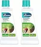 Dr. Beckmann Fleckenteufel Natur & Kosmetik | Spezialfleckentferner gegen Grasflecken, Erde und Make-up | 50 ml (Packung mit 2)