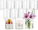 ZOFUN 12 Stück Vase Glas 10cm Hohe Glasvasen für Tischdeko,10 x 8,5 cm Glasvase Gross Klar Glasvase Zylinder Runde, Blumen Vasen Glaszylinder Vase Kleine Vasen für Tischdeko, Rosen, Tulpen