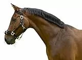 Kerbl Longierhalfter Kunststoff schwarz, WB, Warmblut