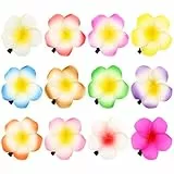 minkissy Haarspangen mit Hawaii-Blumen, Plumeria-Haarspangen für Frauen und Mädchen, weiße Haarnadeln mit Blumenmuster für den Sommer und Strand, Haar-Accessoires, 12 Stück