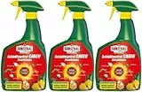 3 X 800ml Substral Celaflor® Schädlingsfrei Zierpflanzen Spray