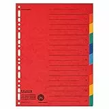 Original Falken Karton-Register überbreit für DIN A4+ 24,5 x 30 cm volle Höhe mit Organisationsdruck 10-teilig vollfarbig 2 x 5 Farben zur Ablage von Prospekthüllen