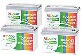 Redodo LiFePO4 12V 100Ah Lithium Batterie 100A BMS 5120Wh Kapazität LiFePO4 Akku Deep Cycle mit 4000-15000 Mal Tiefzyklus für Wohnmobil, Solare Heimanlagen, Camping, Boot, 12V100Ah- 4 Pack