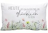 Dekohelden24 Zierkissen - Kuschel Kissen mit Wiese/Dekokissen - Kopfkissen - Heute ist guter Tag, um glücklich zu Sein - L/B/H ca. 40 x 13 x 23 cm, 100% Baumwolle