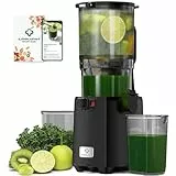 LINKChef Entsafter Gemüse Und Obst Testsieger, Masticating Slow Juicer, 130 mm Futterschacht, 250 W, 1,8 l Kaltpress-Saft, Elektrisch,BPA-frei
