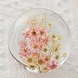 Wttagkl® Briefbeschwerer Löwenzahn, EIN Traumball. Kristall Wunschkugel. Einzigartiger Briefbeschwerer aus Löwenzahn, Q*8cm