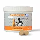 NutriLabs Canicox-HD Gelenktabletten für Hunde 100 STK. - mit MSM, Chondroitin, Hyaluronsäure, Glucosamin & Teufelskralle - Gesundheitsprodukte für Hunde - Nahrungsergänzungsmittel Hund