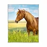 Herding Young Collection Fleece-Kuscheldecke, Pferde Motiv, 130 x 160 cm, Polyester