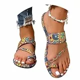 LDXEQIZ Große Größe Pantoffeln Damen Clip -Toe Sandalen Vintage Flip-Flops Mit Drucken Casual Zehentrenner Sandaletten Römische Sandals Leichte Flache Sommerschuhe Für Vacation/Strand(Blue,39 EU)