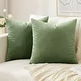 Slozzi 2er Set Samt Kissenbezüge Haushalt Dekokissen Dekorative Kissenhülle Weich Sofakissen für Sofa Schlafzimmer Wohnzimmer 45x45 cm Grün