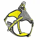 ThinkPet No-Pull Geschirr, Ausbruchsicheres Reflektierendes Step-in Hundegeschirr, Verstellbares Atmungsaktives Geschirr, mit hinterem/vorderem Clip für bessere Kontrolle