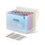 ThinkTex Accordian Aktenordner, 12 Fächer, erweiterbare Aktenordner, tragbarer monatlicher Rechnungsbeleg-Organizer, bunte Registerkarten, A4-Größe – Blau