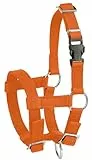 Kerbl Alpaka-Halfter, verstellbar – Orange (Abmessung 17 x 18 x 4,5 cm, Gewicht 0,1 kg, Material 20 mm Polypropylen) 27190