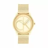 Calvin Klein Analog Quarzuhr Unisex mit Gelbgoldfarbenes Edelstahl-Mesh-Gliederarmband - 25200034