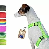 Bub's® Hundegeschirr gegen Ziehen, H-Form, Dog Harness, Brustgeschirr für Hunde (Fluor, Medium)