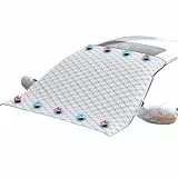 Frontscheibenabdeckung Auto für Ford C-Max 2017-2023, mit 9 Magneten Windschutzscheibenabdeckung Winter Wasserdicht Reißfest,Silver-116 * 160cm