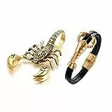 Aroncent 2PCS Herren Skorpion Schmuck-Set (Halskette + Armband), Edelstahl Scorpion Biker Anhänger mit 55cm Kette und Leder Armband, Gold Schwarz