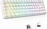 TECURS Gaming Tastatur Mechanische Kabellos/Bluetooth/Mit Kabel, RGB Beleuchtet, 65% QWERTZ Tastatur (German Layout) mit Rote Schalter für PC Gamer und Arbeits, Weiß