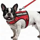 FAYOGOO Service-Hundeweste für kleine Hunde, luftdurchlässig, atmungsaktiv, emotionale Unterstützung, Tierweste mit DIY-Patches, Welpengeschirr und Leine, verstellbar, Hals und Brust