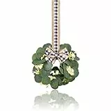 Mini-Eukalyptus-Kranz – 25,4 cm, kleiner künstlicher Frühlingskranz für Wand, Fenster, Haustür, Küchenschrank, Bauernhaus, Grün, Hochzeitsdekoration, 1 Stück