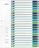 Durable Register 1-20, A4+ hoch, beschriftbares Indexblatt, 100% recycelbar, mehrfarbig, 679727