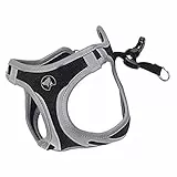 Croci C5081645 Hundegeschirr Hiking Reflective, L