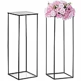 Nuptio Schwarzer Vasen Pflanzenständer 2 Stück 80cm Hohe Blumenvasen für Hochzeit Geburtstagsparty Mittelstücke – Metallsäulen Präsentations Tischständer für Inneneck Blumenständer