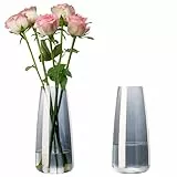YBCPACK Blumenvase Glas 22cm Hoch – Halbtransparentes Grau Moderne Vase für Tulpen/Rosen, Büro & Wohnzimmer Dekor（2er Set）