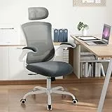 COLAMY Bürostuhl Mesh Computer Stuhl mit Verstellbarer Kopfstütze und Lendenwirbelstütze, Schreibtisch Ergonomischer Arbeitsstuhl mit hochklappbarer Armlehne, 140° Wippfunktion, Grau