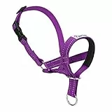 Pawaboo Hundehalfter Haustier Sicher Kontrolle - Nylon Reflektierende Einstellbare Hundehalter Hundeband Training Halter für Hunde, Wepeln, S Größe, Lila