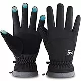 Cevapro Winterhandschuhe Herren Damen Thermo Handschuhe Wasserdicht Winddicht mit Touchscreenhandschuhe Extra Dickem Fleece Für Snowboard Ski rutschfeste Wandern (-25°C), Schwarz, L