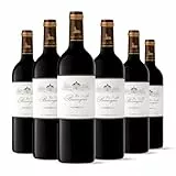 Castel Chateaux Grands Crus Griffe de Barreyres - Rotwein Trocken - AOP Haut Medoc - Jahrgang 2018 - Das Land der Rebe (6 x 0,75L)